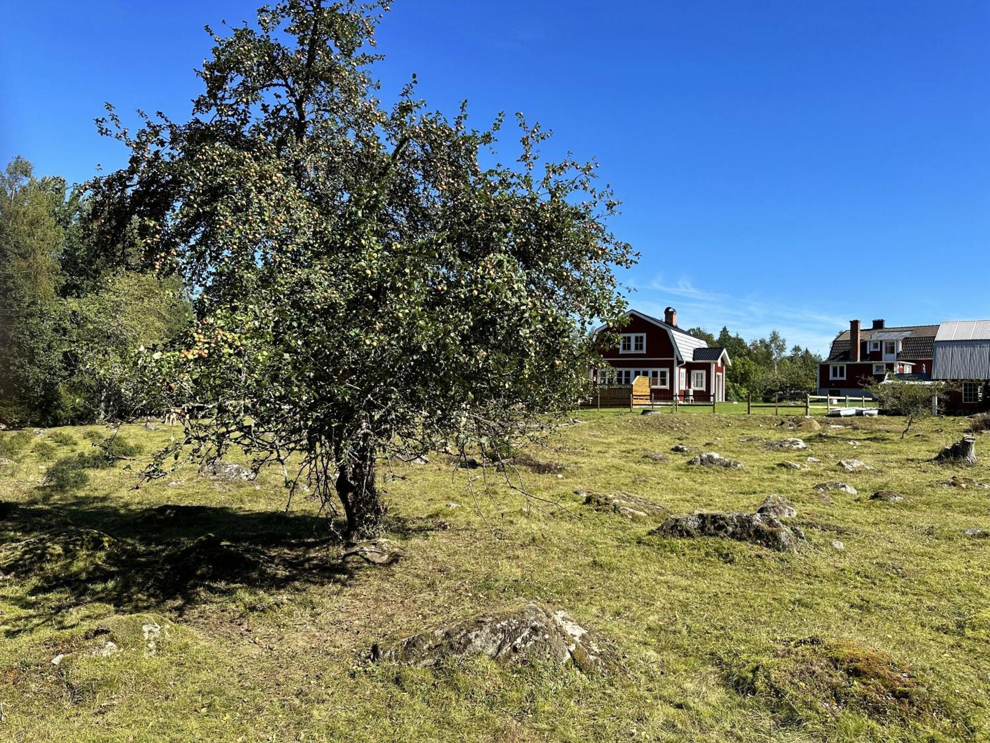 Aengsstugan Urshult Dış mekan fotoğraf
