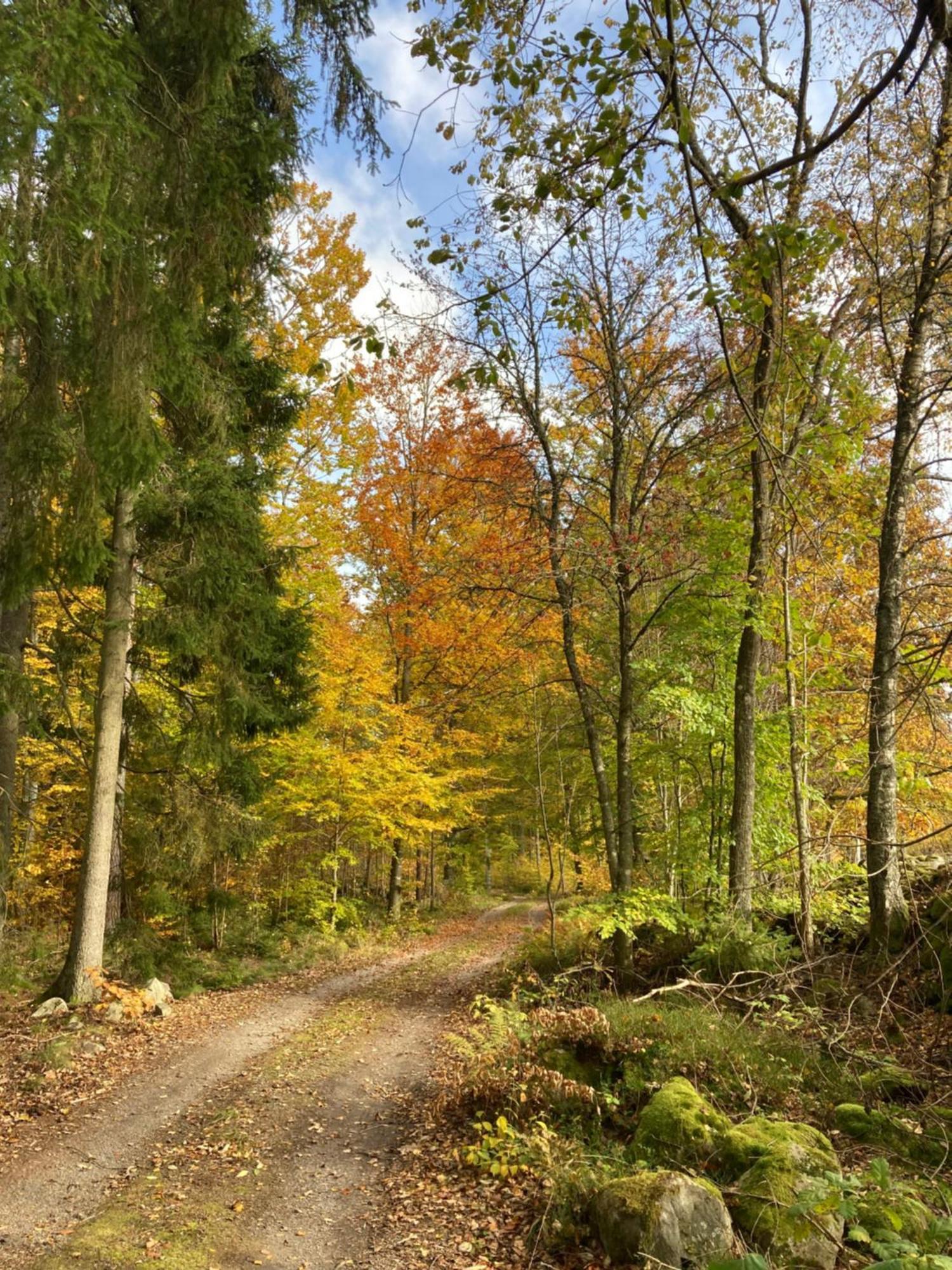Aengsstugan Urshult Dış mekan fotoğraf